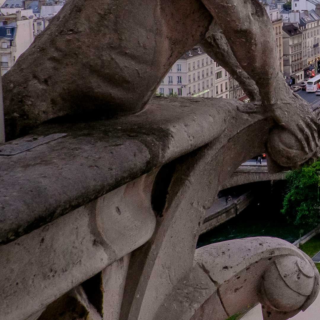 View of Paris from Notre Dame cathedral with gargoyle