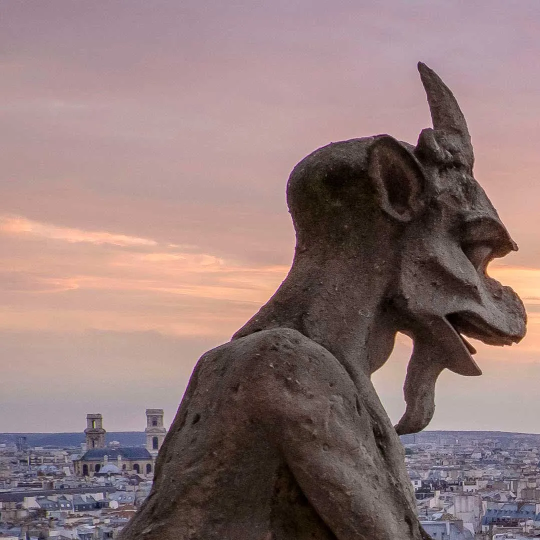 View of Paris from Notre Dame cathedral with gargoyle
