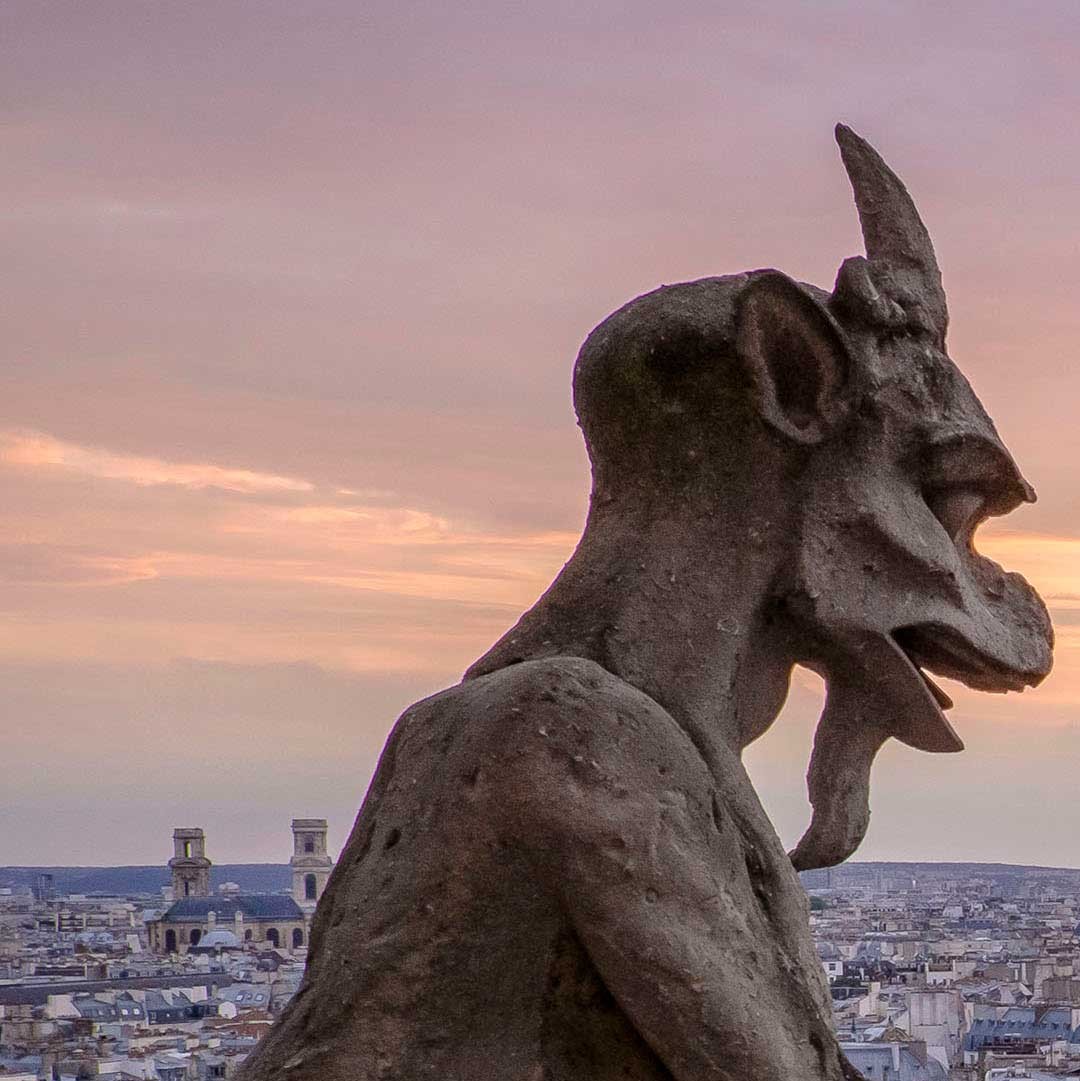 View of Paris from Notre Dame cathedral with gargoyle