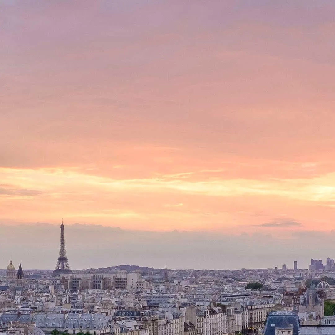 View of Paris from Notre Dame cathedral with gargoyle