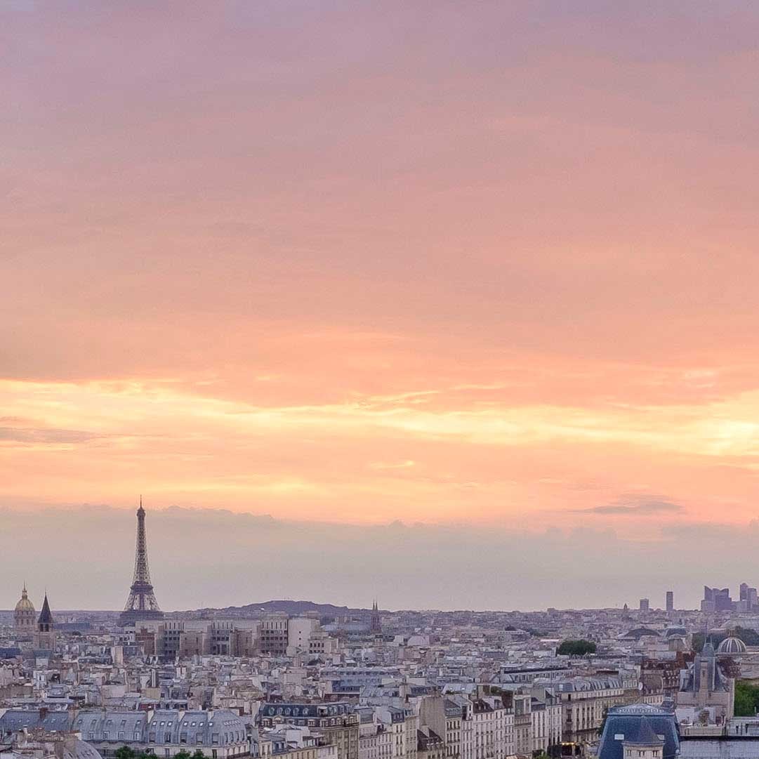 View of Paris from Notre Dame cathedral with gargoyle