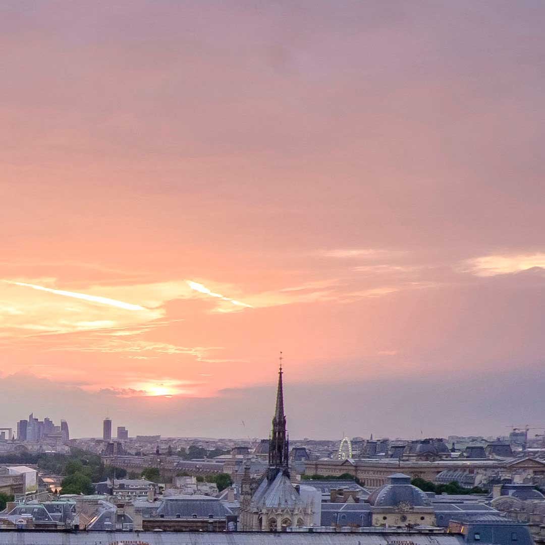 View of Paris from Notre Dame cathedral with gargoyle
