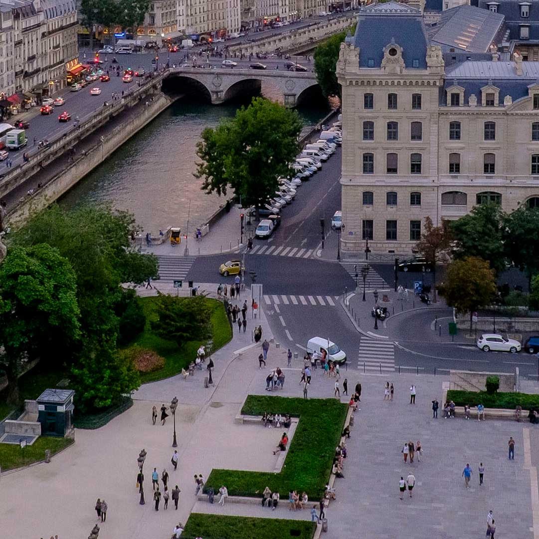View of Paris from Notre Dame cathedral with gargoyle